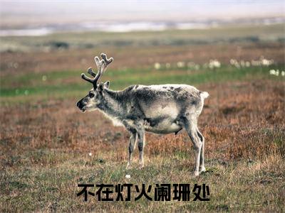 小说（不在灯火阑珊处）顾宁辰孟卓钰全文免费阅读无弹窗-顾宁辰孟卓钰小说全文在线赏析（今日更新最新章节）