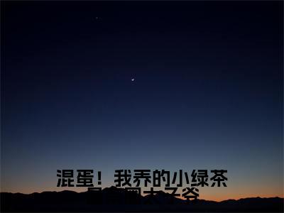 混蛋!我养的小绿茶是京圈太子爷(陆战北沈南乔)全文免费阅读无弹窗_(陆战北沈南乔)小说全文免费阅读最新章节_笔趣阁