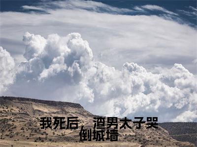我死后，渣男太子哭倒城墙小说全文免费阅读-（温墨韬崔韫欢）抖音新书热荐我死后，渣男太子哭倒城墙全文免费阅读（温墨韬崔韫欢番外+免费）
