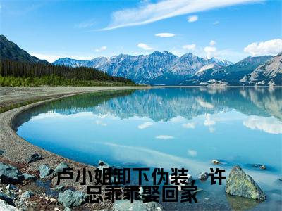 卢小姐卸下伪装,许总乖乖娶回家免费阅读无弹窗大结局-卢仪妤许航毅(最新全章节大结局)全文阅读