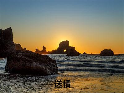 送情阅读无弹窗大结局_(宋清曲向文阅读无弹窗)最新章节列表_笔趣阁(宋清曲向文)
