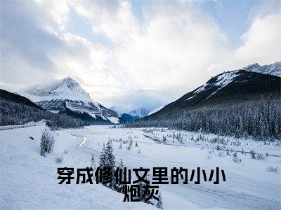 穿成修仙文里的小小炮灰（莫懒）小说全文免费阅读_穿成修仙文里的小小炮灰最新章节小说免费阅读_笔趣阁莫懒