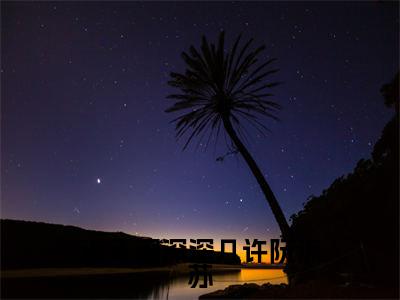 (周容川阮流苏)流年深深深几许阮流苏无弹窗免费阅读周容川阮流苏大结局无删阅读_笔趣阁