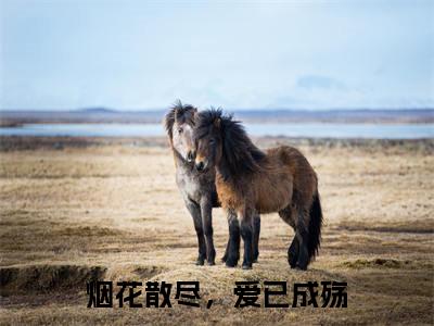 烟花散尽,爱已成殇(楚聿风)全文阅读_小说烟花散尽,爱已成殇免费阅读(楚聿风)笔趣阁
