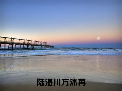 （方沐苒陆湛川）是什么小说-陆湛川方沐苒全文免费阅读无弹窗大结局（方沐苒陆湛川）最新章节列表