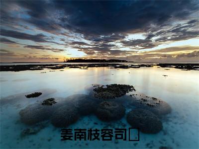 姜南枝容司璟姜南枝容司璟精彩章节在线阅读-姜南枝容司璟美文欣赏