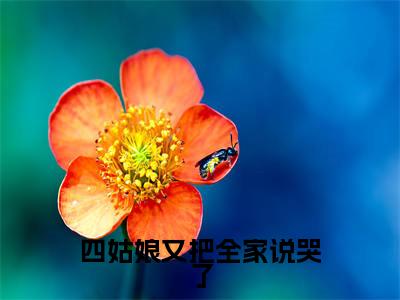 四姑娘又把全家说哭了（周夕夕慕容博）全本完整版免费阅读_（四姑娘又把全家说哭了）周夕夕慕容博全文章节目录_笔趣阁