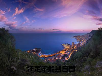 迟知鸢薄时沉完整版(注定不能到白首小说)全文免费阅读无弹窗大结局_注定不能到白首最新章节