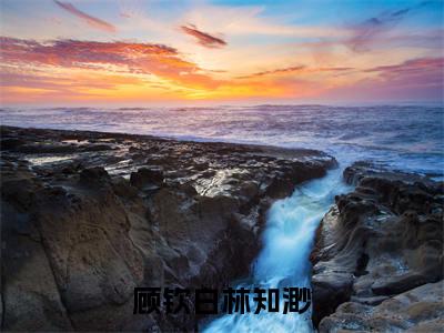 林知渺顾钦白(顾钦白林知渺)全文免费阅读无弹窗大结局_顾钦白林知渺(林知渺顾钦白无弹窗)_笔趣阁
