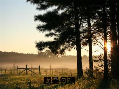 顾晏何清（何清顾晏）全文完整版免费阅读_何清顾晏顾晏何清全文免费阅读