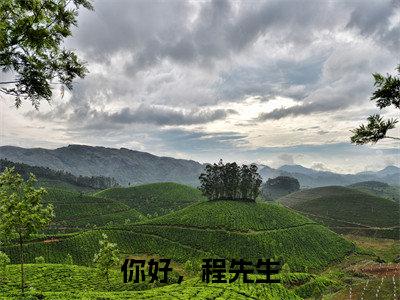 桑田程牧野（你好，程先生）全文免费阅读无弹窗大结局_你好，程先生全文在线阅读