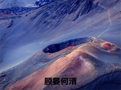顾晏何清全集小说完整版大结局_何清顾晏完结版在线阅读