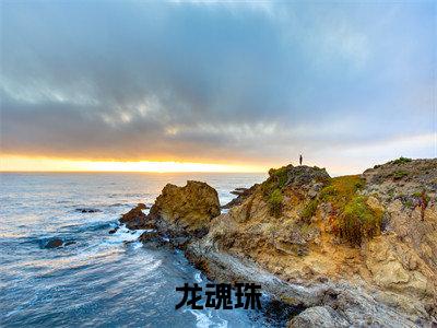 林尘小说全文免费阅读_林尘(龙魂珠)最新章节列表笔趣阁