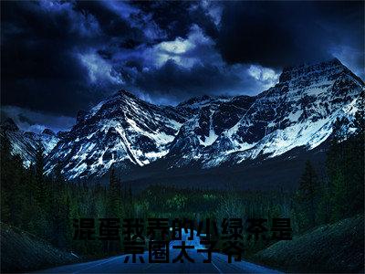 混蛋我养的小绿茶是京圈太子爷（陆战北沈南乔）小说最新章节在线阅读-混蛋我养的小绿茶是京圈太子爷（陆战北沈南乔）已完结全集大结局