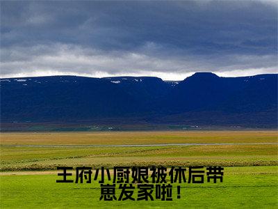 王府小厨娘被休后带崽发家啦!小说(梁清云傅盛江)最新章节阅读-王府小厨娘被休后带崽发家啦!(梁清云傅盛江)免费阅读无弹窗大结局