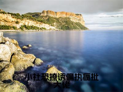 小社恐撩诱偏执疯批大佬（宋轻漆淮）全文免费阅读无弹窗大结局_小社恐撩诱偏执疯批大佬免费最新章节列表_笔趣阁