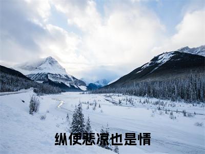 沈羿琛(纵使悲凉也是情)全文免费阅读无弹窗大结局_纵使悲凉也是情_笔趣阁
