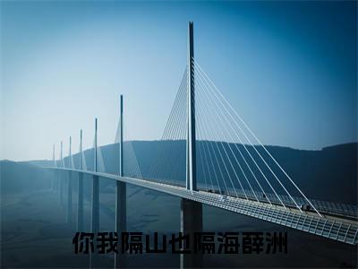 你我隔山也隔海薛洲热门小说目录推荐裴欢薛洲全文完整版阅读