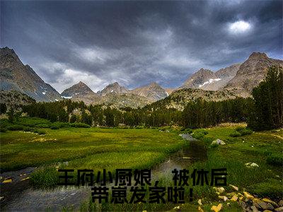 王府小厨娘，被休后带崽发家啦！高甜小说最新章节-梁清云傅盛江全文阅读