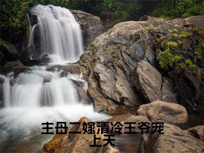 主母二嫁清冷王爷宠上天姜婉秋萧逸全文小说-主母二嫁清冷王爷宠上天小说最新章节免费阅读