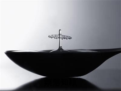 主角是陆莞萩萧洆的小说-梨落知秋全章节在线阅读