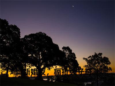 新婚夜,疯批太子夺我入宫最新章节(姜容音姜昀)全文免费阅读无弹窗大结局_姜容音姜昀免费阅读