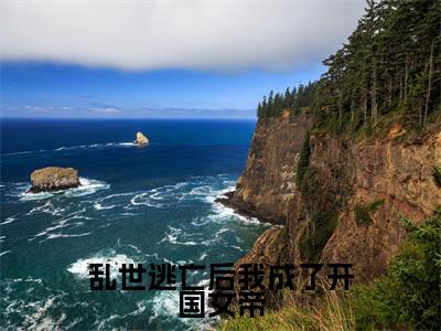 好书推荐小说乱世逃亡后我成了开国女帝(林知皇)-乱世逃亡后我成了开国女帝全文免费阅读大结局