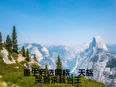 任意小说全文免费阅读_重生后选魔族,天族哭着求我当王(任意)最新章节列表笔趣阁