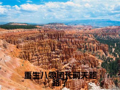 免费+全集重生八零团长前夫跑路了全文免费阅读无弹窗大结局_(重生八零团长前夫跑路了小说)郑竹心周颂年在线免费阅读