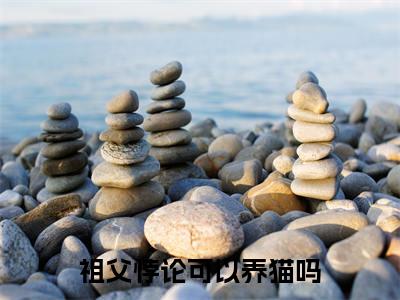 祖父悖论可以养猫吗（张耀简鱼）全文免费大结局小说-祖父悖论可以养猫吗全文最新章节阅读