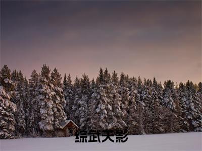综武天影（李辰天）全文免费阅读无弹窗大结局_综武天影最新章节列表_笔趣阁（李辰天）
