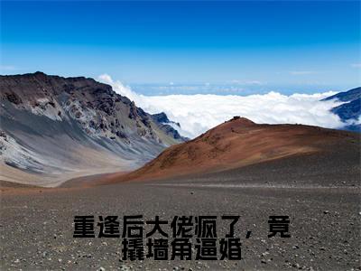 禾念安傅璟忱（重逢后大佬疯了，竟撬墙角逼婚）全文免费禾念安傅璟忱读无弹窗大结局_禾念安傅璟忱免费重逢后大佬疯了，竟撬墙角逼婚读最新章节列表_笔趣阁