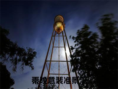 秦晚意裴准景深小说免费阅读秦晚意裴准景深免费阅读无弹窗小说