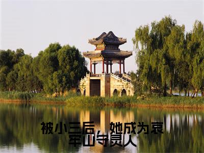 （霍云青辛珑）全文免费阅读无弹窗大结局-被小三后，她成为哀牢山守灵人小说最新章节列表