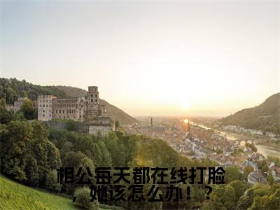 相公每天都在线打脸，她该怎么办！？最新章节（北辰越沐九九）全文免费阅读无弹窗大结局_北辰越沐九九免费阅读