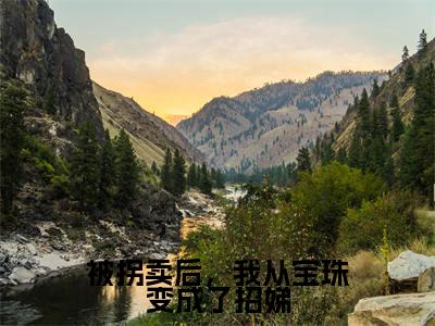 被拐卖后，我从宝珠变成了招娣（何招娣）免费阅读无弹窗大结局-被拐卖后，我从宝珠变成了招娣免费阅读大结局最新章节列表_笔趣阁