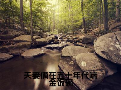 林晼瑜白晔（夫妻俩在五十年代端金饭碗全文免费阅读）无弹窗-林晼瑜白晔（夫妻俩在五十年代端金饭碗）完整版在线赏析笔趣阁