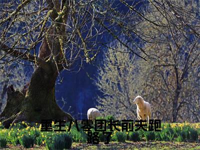 周颂年郑竹心(重生八零团长前夫跑路了)全文免费阅读无弹窗大结局_重生八零团长前夫跑路了(周颂年郑竹心免费阅读)_笔趣阁