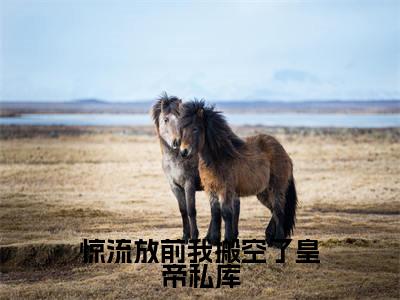 楚辞(惊流放前我搬空了皇帝私库)全文免费阅读无弹窗大结局_惊流放前我搬空了皇帝私库最新章节列表_笔趣阁(楚辞)