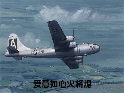 热文（爱意如心火将熄）在线阅读-（爱意如心火将熄）完整版免费阅读全文最新章节列表_笔趣阁
