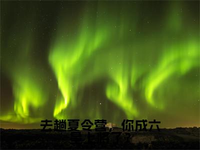 张岩(去趟夏令营,你成六星上将了?)全文免费阅读_(去趟夏令营,你成六星上将了?)张岩最新章节列表_笔趣阁