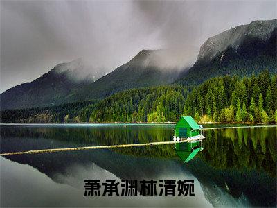 萧承渊林清婉（林清婉萧承渊大结局小说全集完整版）_（林清婉萧承渊小说）萧承渊林清婉全文阅读笔趣阁