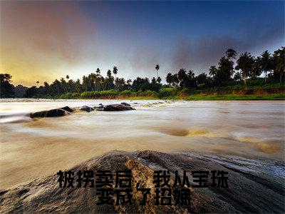 被拐卖后,我从宝珠变成了招娣高赞小说(何招娣)完结阅读_被拐卖后,我从宝珠变成了招娣全文完整版免费阅读最新章节列表何招娣(番外+免费)