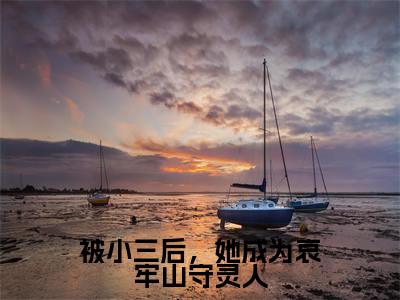 霍云青辛珑全文免费阅读无弹窗大结局_被小三后,她成为哀牢山守灵人章节列表_笔趣阁
