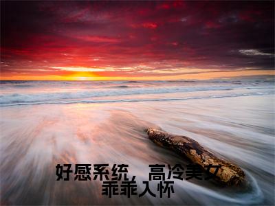 沈晓天小说（好感系统，高冷美女乖乖入怀）全文免费阅读无弹窗大结局_沈晓天小说最新章节列表_笔趣阁