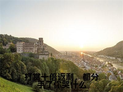 打赏十倍返利,都分手了你哭什么全文免费阅读-(姜时愿)小说全文免费阅读正版无弹窗