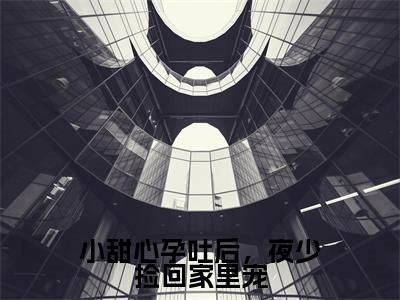 小甜心孕吐后，夜少捡回家里宠全文免费阅读无弹窗大结局_（夜少霆云笙）小甜心孕吐后，夜少捡回家里宠小说免费阅读完整版全文大结局