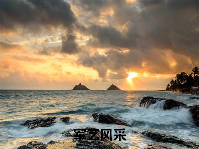 军艺风采(许言)小说在线阅读_军艺风采全本免费小说阅读(许言)