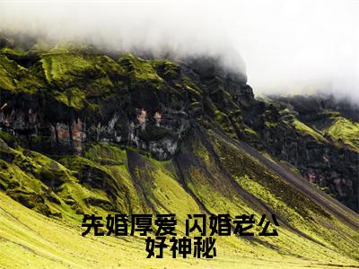 先婚厚爱 闪婚老公好神秘(莫小陶)全文免费阅读无弹窗大结局_(先婚厚爱 闪婚老公好神秘)免费阅读无弹窗最新章节列表_笔趣阁