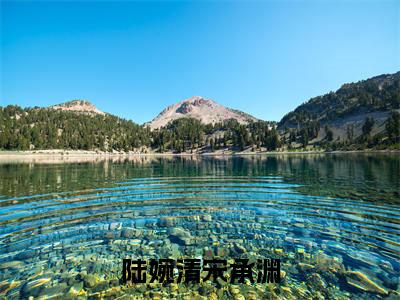 陆婉清宋承渊(宋承渊陆婉清)全文免费阅读无弹窗大结局_陆婉清宋承渊全文免费阅读无弹窗最新章节列表